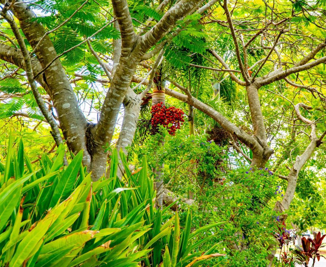 Sunbird Gardens Villa Agnes Water Bagian luar foto